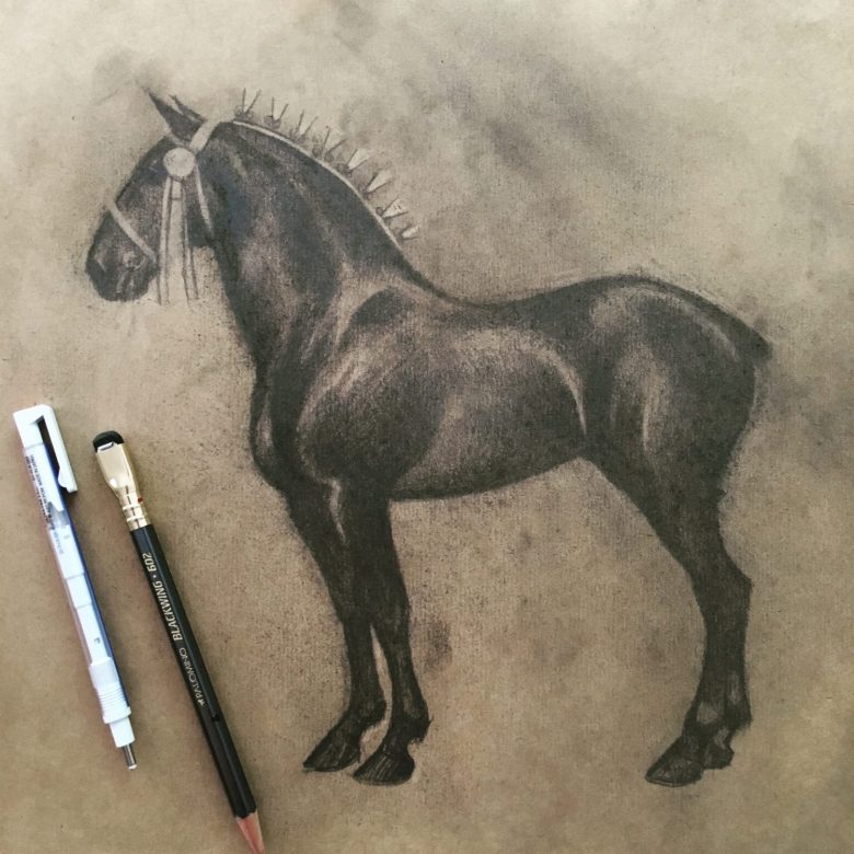 A study from a photograph of a black Percheron horse.